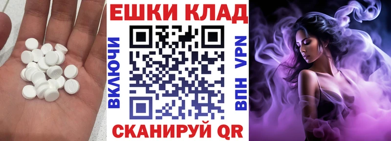 ЭКСТАЗИ Philipp Plein  сколько стоит  Онега 