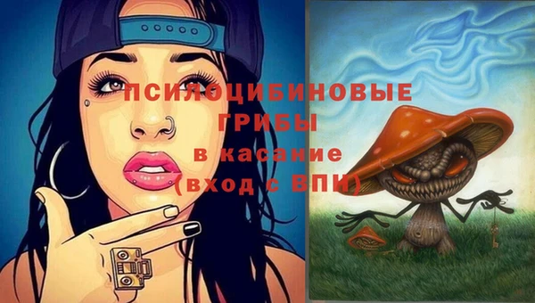винт Баксан