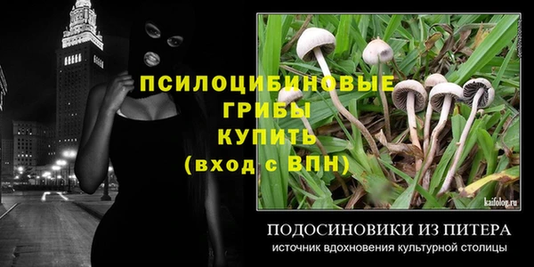 спайс Аркадак