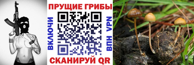 мориарти состав  Онега  Псилоцибиновые грибы MAGIC MUSHROOMS 